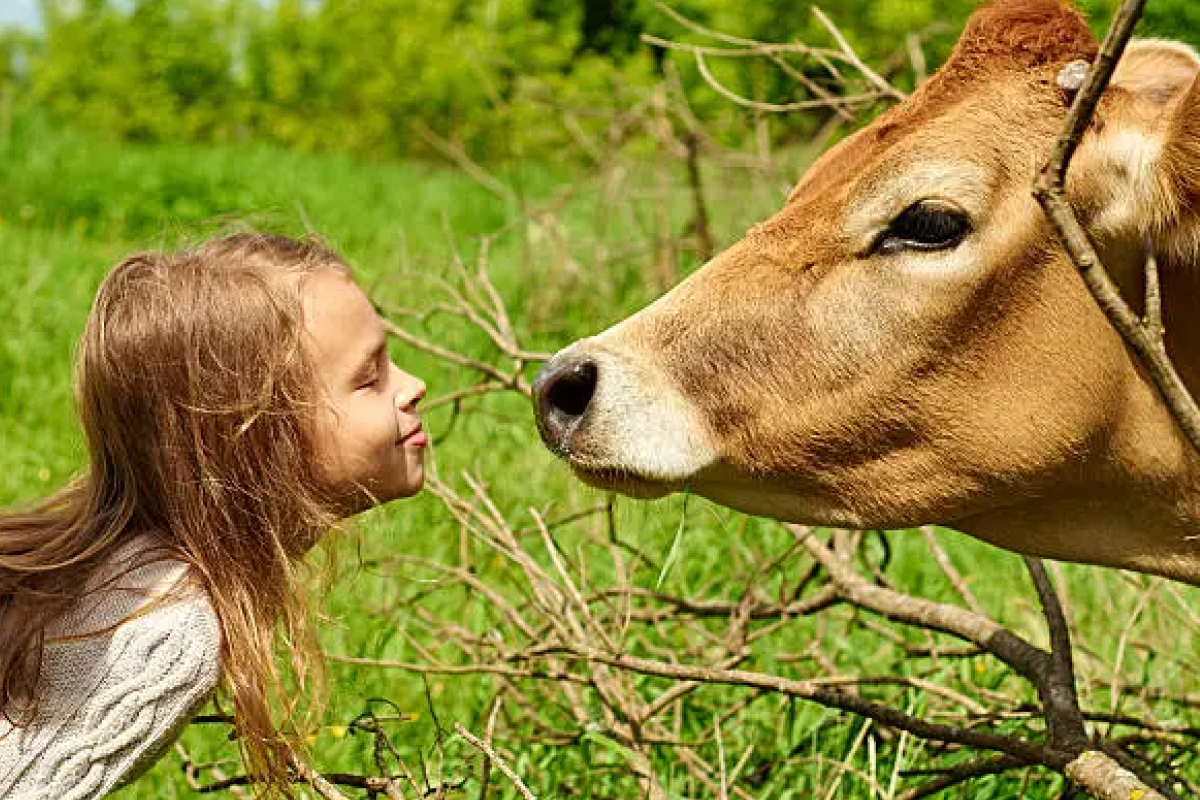 100 Animali