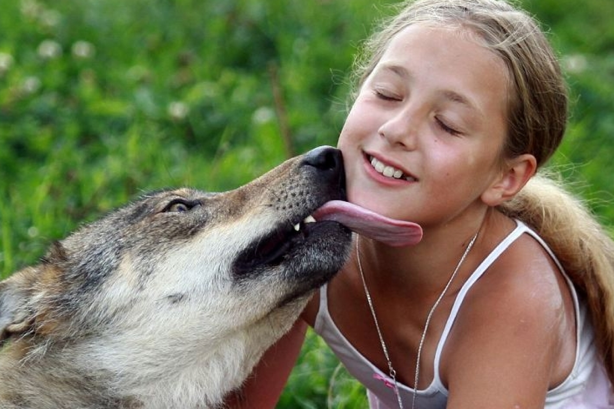 100 Tiere