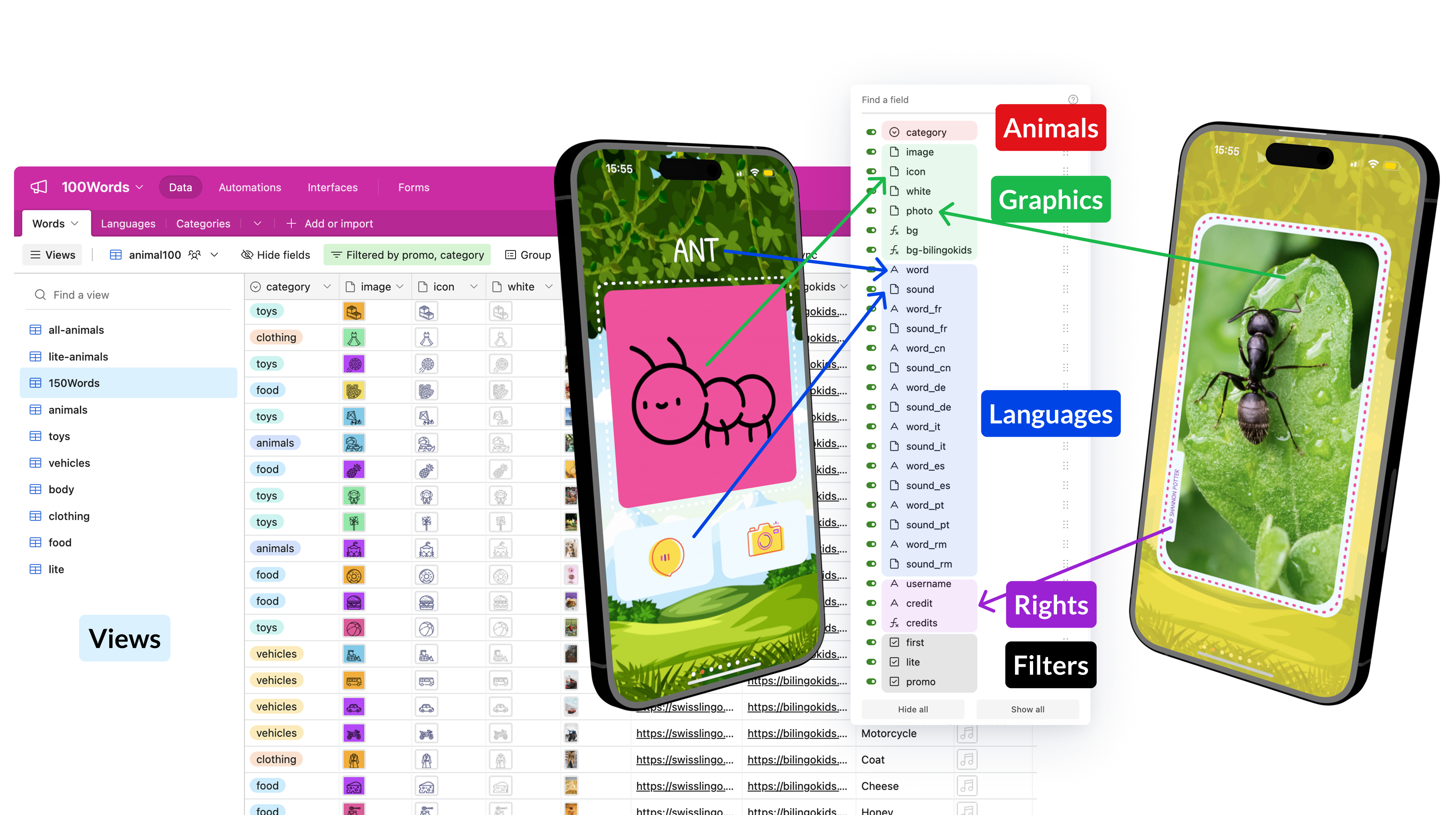 Airtable database — each row a word, each column a language