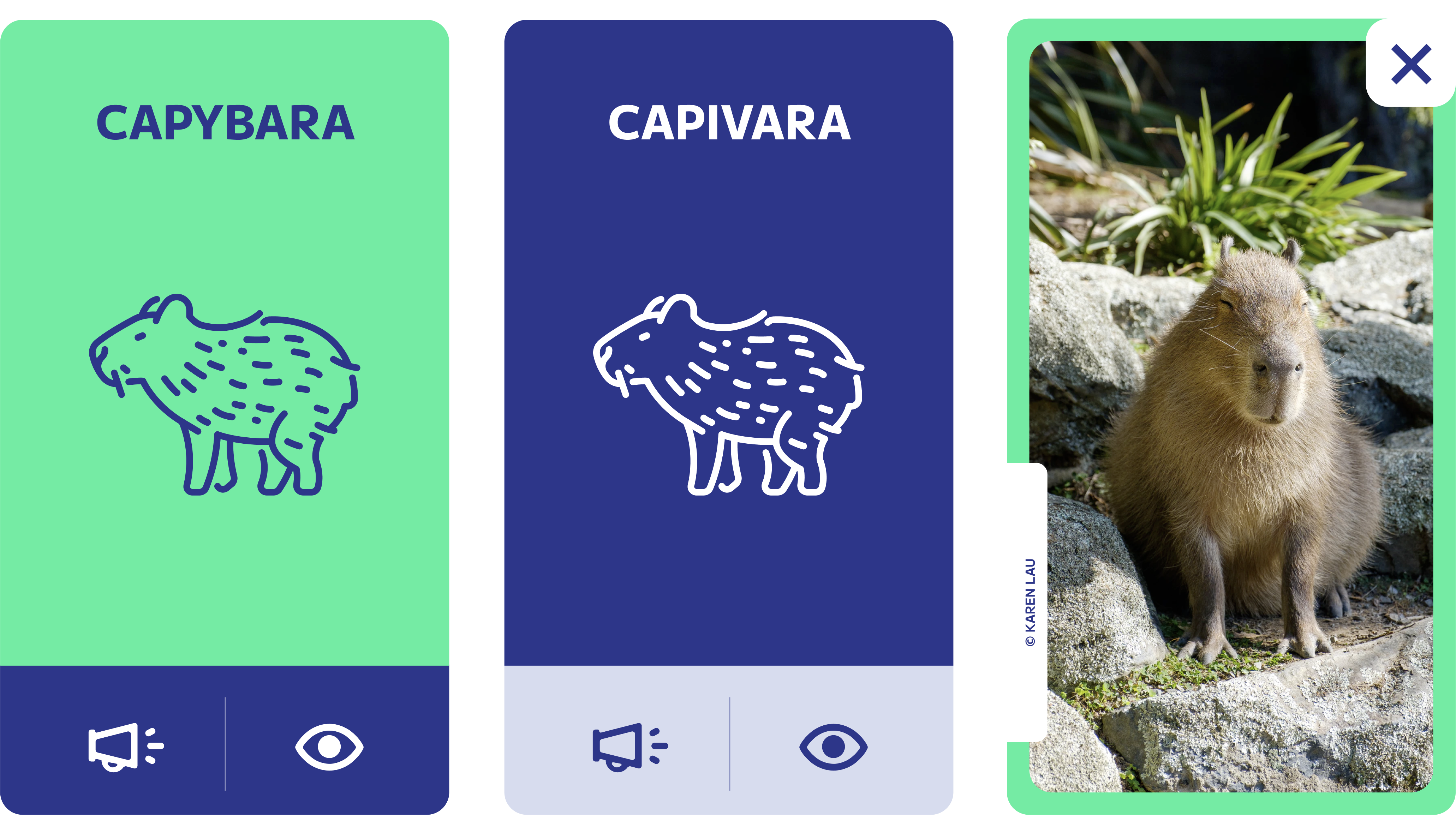 App card design — icon, photo, word label, and audio button combined